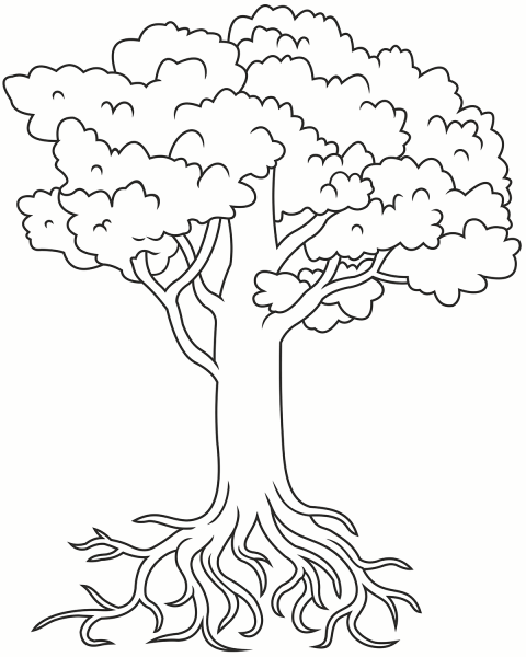 Tree With Roots Coloring Page ColouringPages