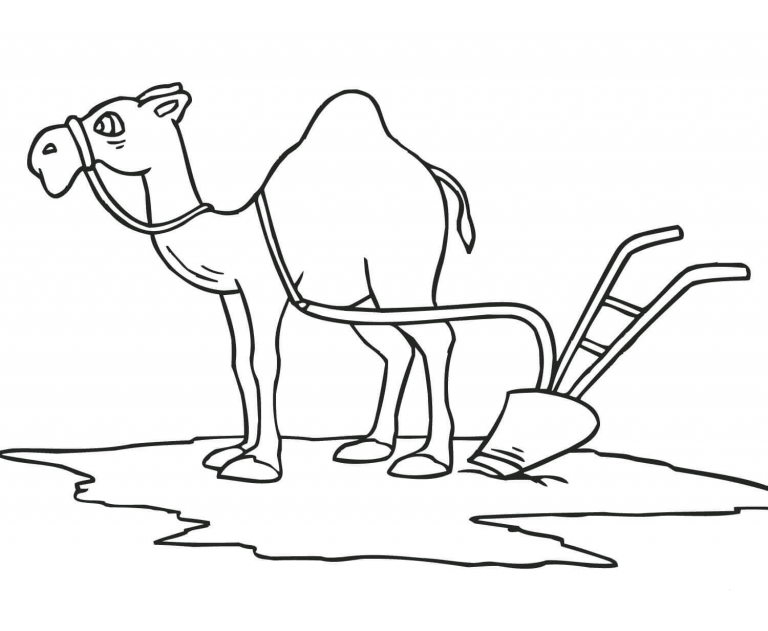 Camel With Plough Coloring Page ColouringPages