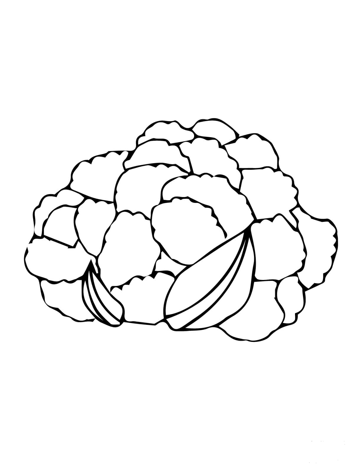 Cauliflower Head Coloring Page Colouringpages