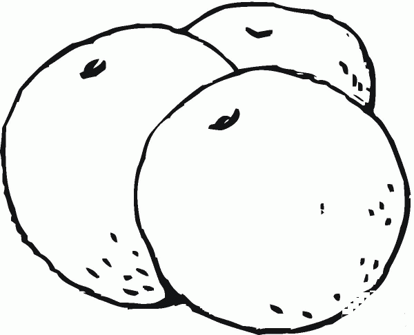 3 Oranges coloring page image