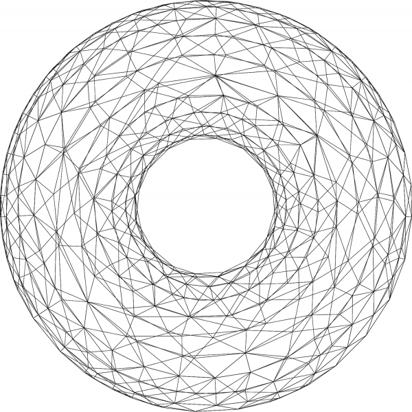 3D Torus coloring page image