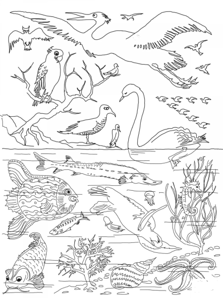 5th Day of Creation  coloring page image