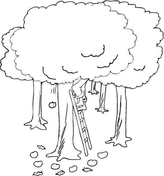 A man picks apples coloring page image