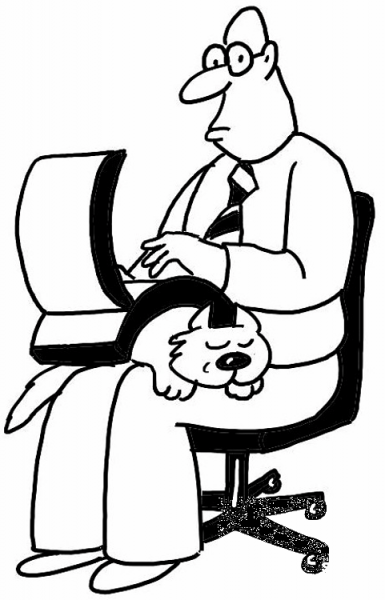 A man sitting on the chair with laptop and a cat  coloring page image