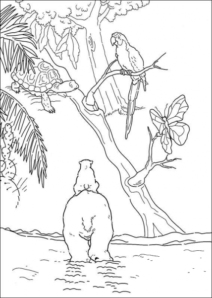 A parrot, a turtle, Daddy polar bear and Lars  coloring page image
