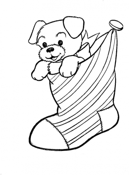 A Puppy Dog In A Christmas Stocking  coloring page image
