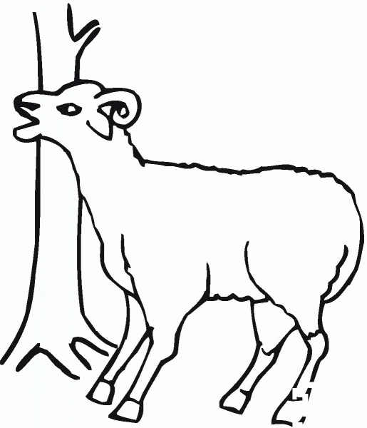A Sheep Near Tree coloring page image
