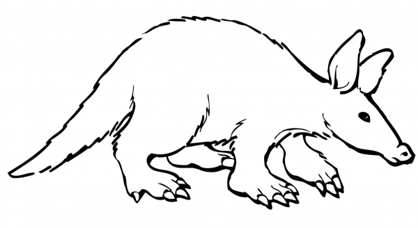 Aardvark coloring page image