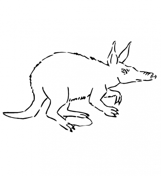 Aardvark from Africa coloring page image