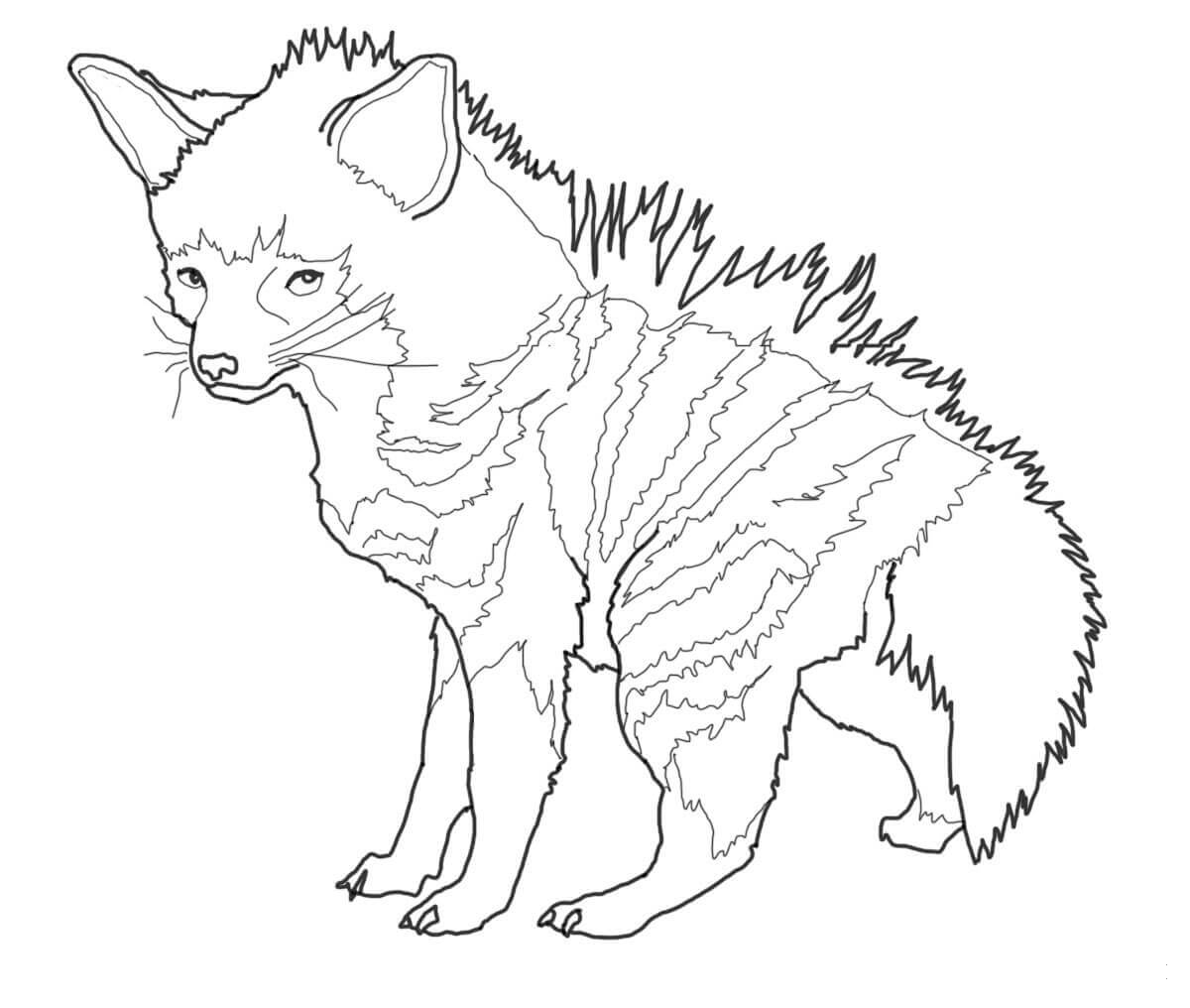 Aardwolf Cub coloring page - ColouringPages