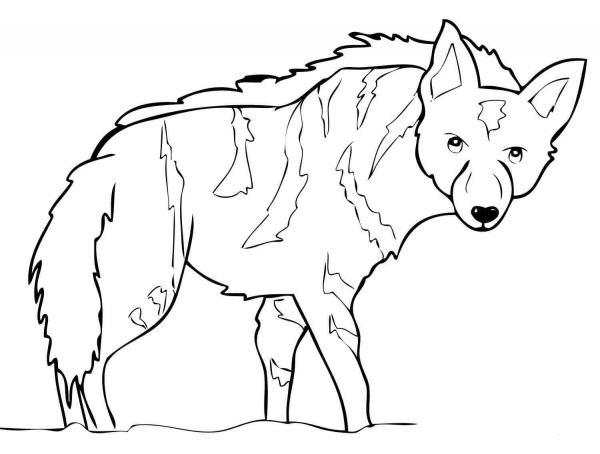 Aardwolf from Africa coloring page image