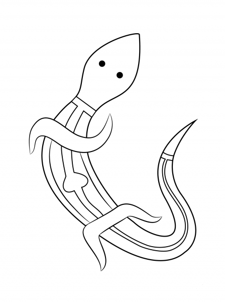 Aboriginal Painting of Lizard coloring page image