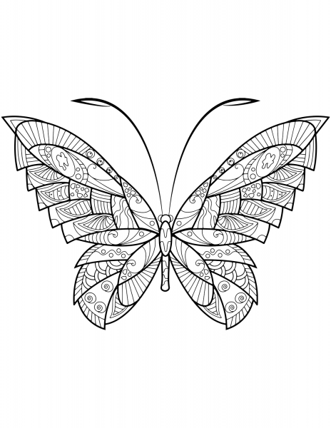 Abstract Butterfly Zentangle coloring page image