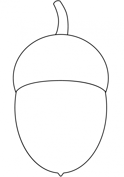Acorn coloring page image