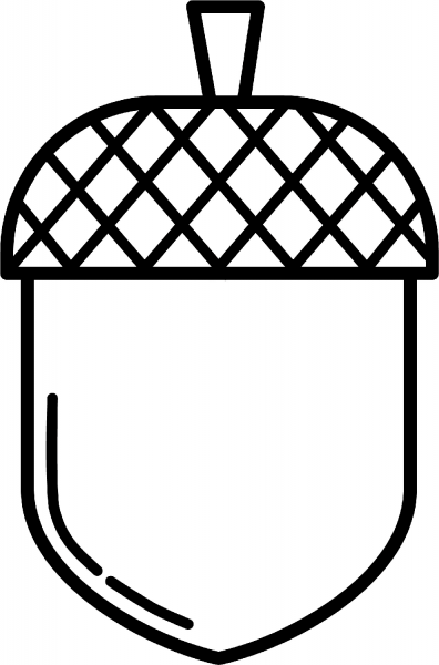 Acorn coloring page image