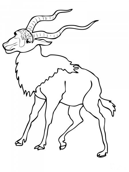 Addax coloring page image