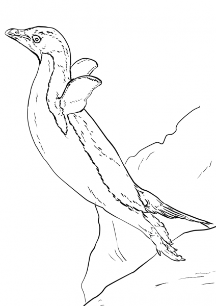 Adelie Penguin Leap of Faith coloring page image