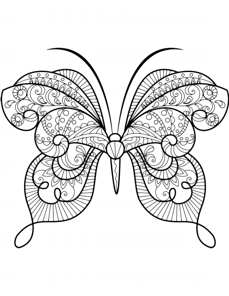 Advanced Butterfly Zentangle coloring page image