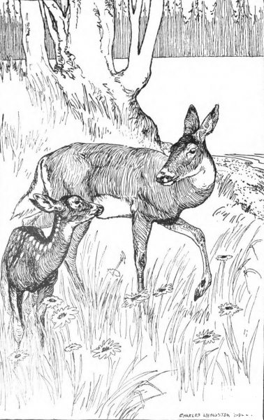 Aesop’s Fables coloring page image