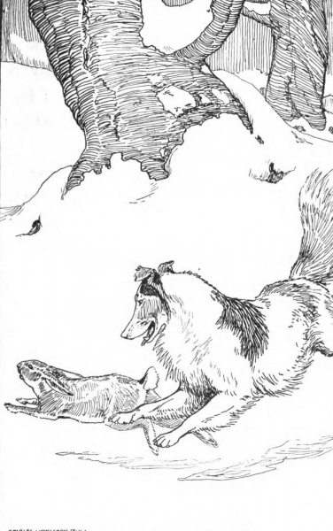 Aesop’s Fables coloring page image