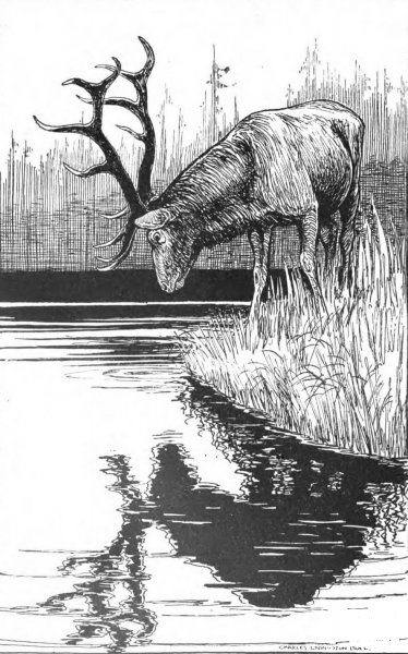 Aesop’s Fables coloring page image