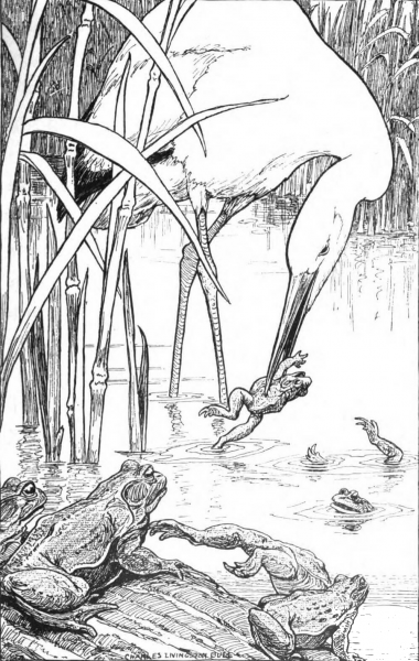 Aesop’s Fables coloring page image