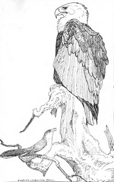 Aesop’s Fables coloring page image