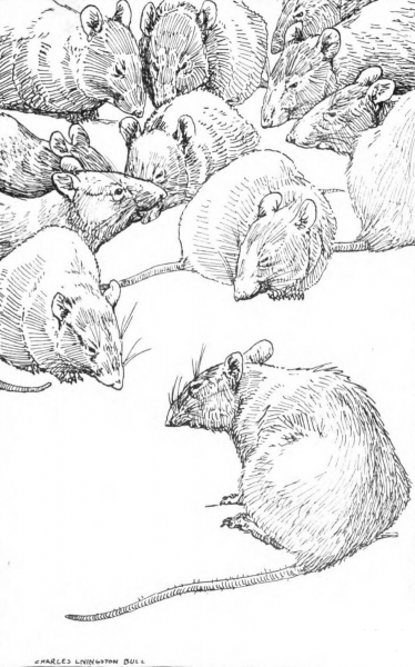 Aesop’s Fables coloring page image