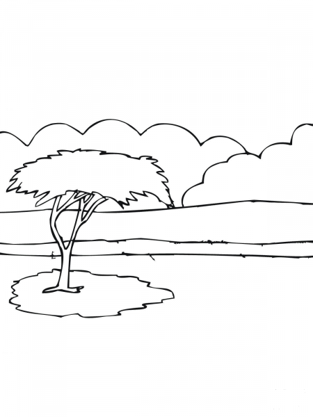 African Acacia Tree coloring page image
