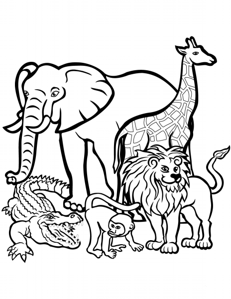 African Animals coloring page image