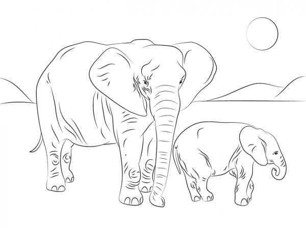 African Elephant Family  coloring page image