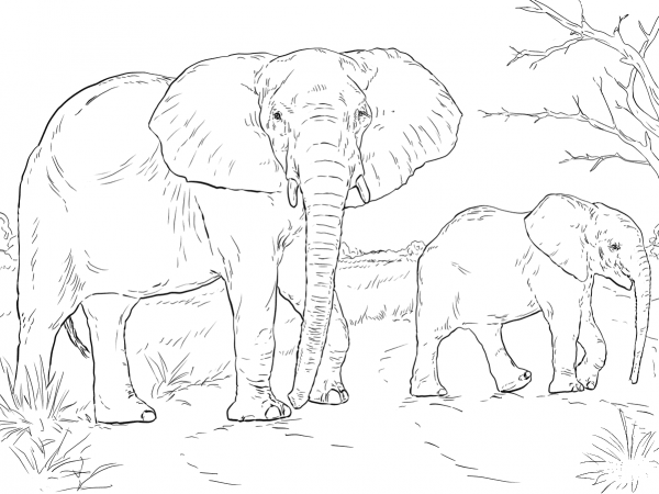 African Elephant Mother And Baby coloring page image