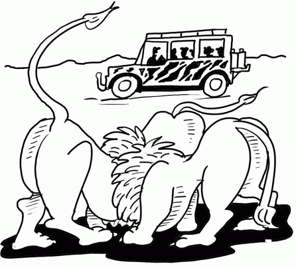 African Lion Safari  coloring page image