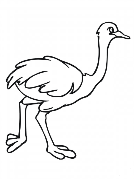 African Ostrich coloring page image
