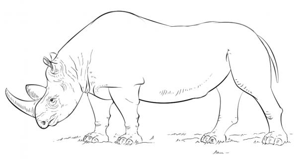 African Rhino coloring page image