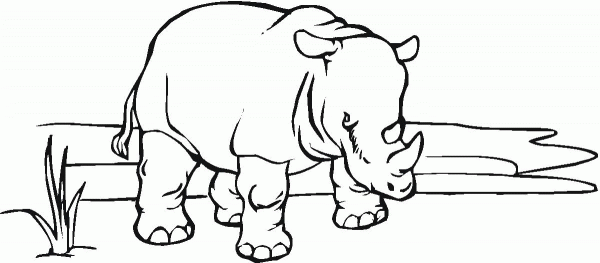 African Rhinoceros coloring page image