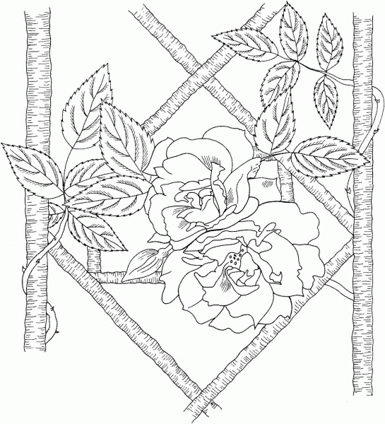 Climbing Blaze Rose coloring page image