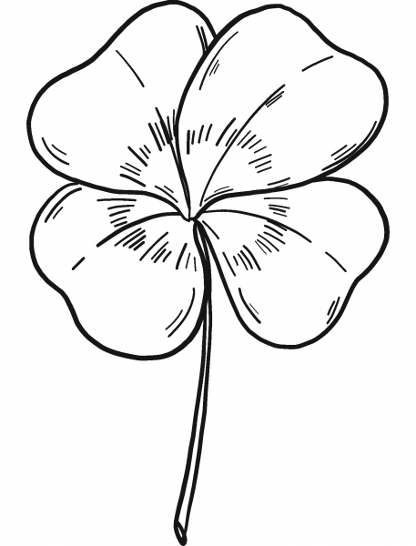 Clover coloring page image