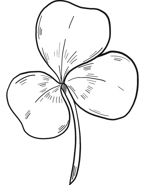 Clover coloring page image