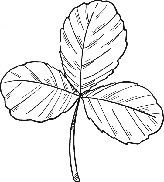 Clover coloring page image