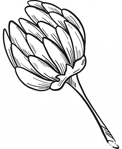 Clover Flower coloring page image