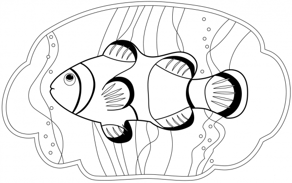 Clownfish coloring page image