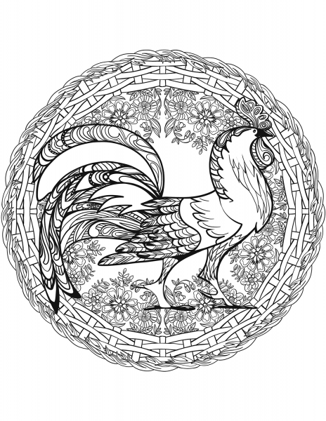 Cock Mandala coloring page image