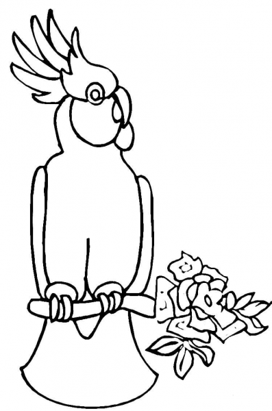 Cockatoo coloring page image