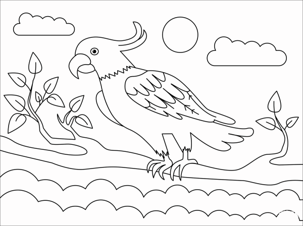 Cockatoo coloring page image