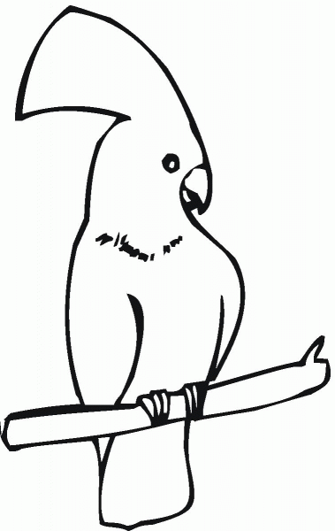 Cockatoo is Sitting coloring page image