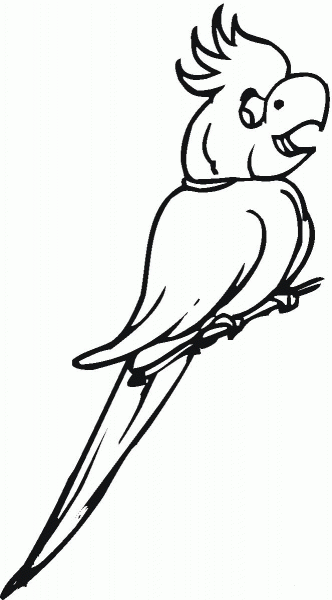 Cockatoo on the Branch coloring page image