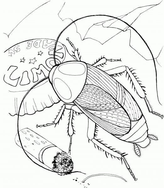Cockroach and Trash coloring page image
