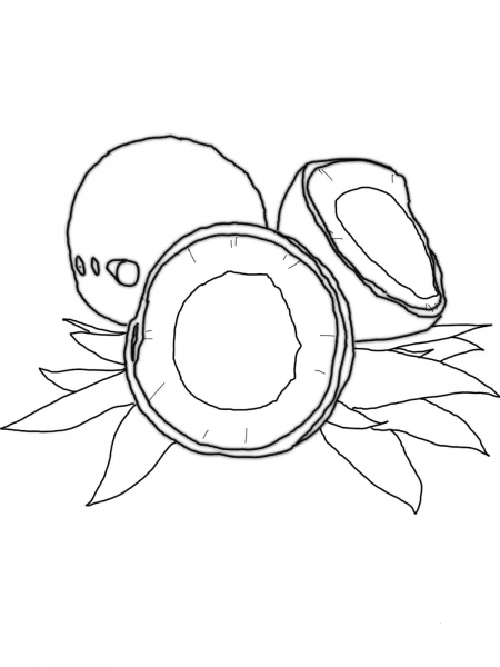 Coconut coloring page image
