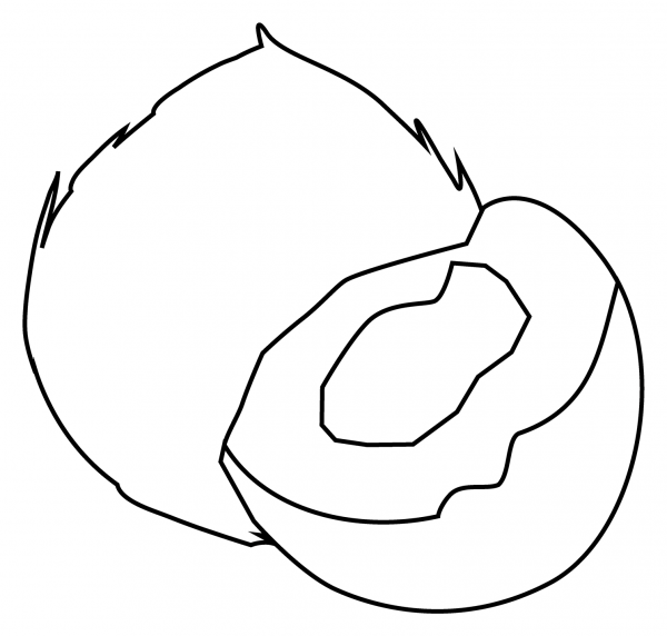 Coconut Emoji coloring page image